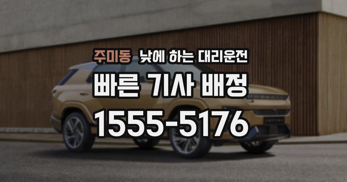 주미동 낮에 하는 대리운전