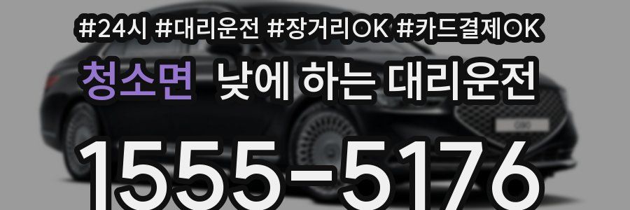 청소면 낮에 하는 대리운전