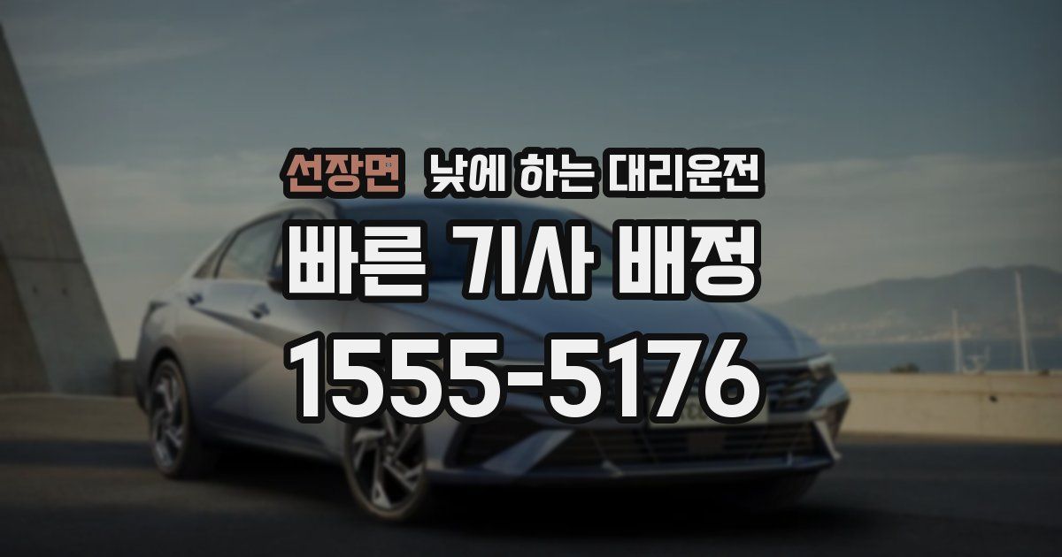 선장면 낮에 하는 대리운전