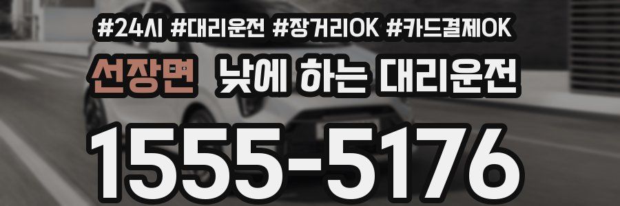 선장면 낮에 하는 대리운전
