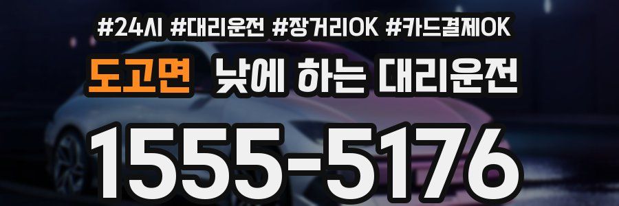 도고면 낮에 하는 대리운전