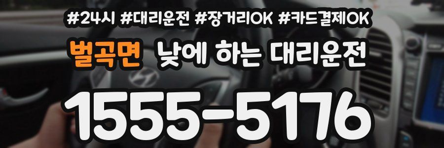 벌곡면 낮에 하는 대리운전