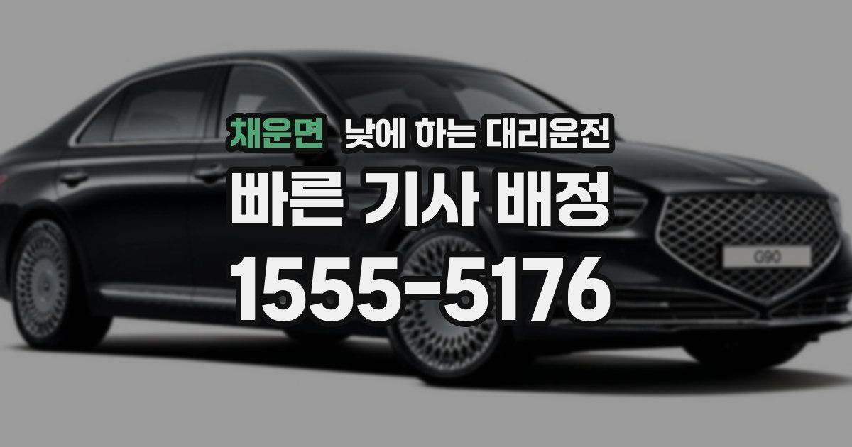 채운면 낮에 하는 대리운전