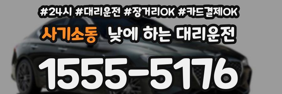 사기소동 낮에 하는 대리운전