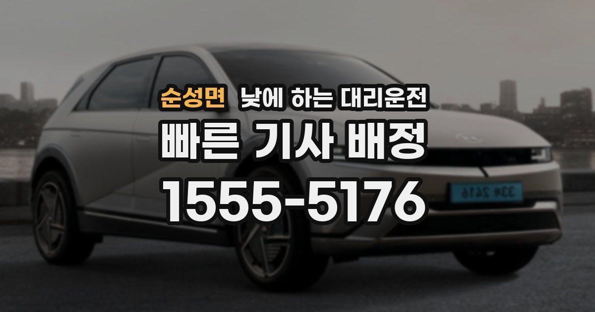 순성면 낮에 하는 대리운전
