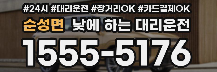 순성면 낮에 하는 대리운전