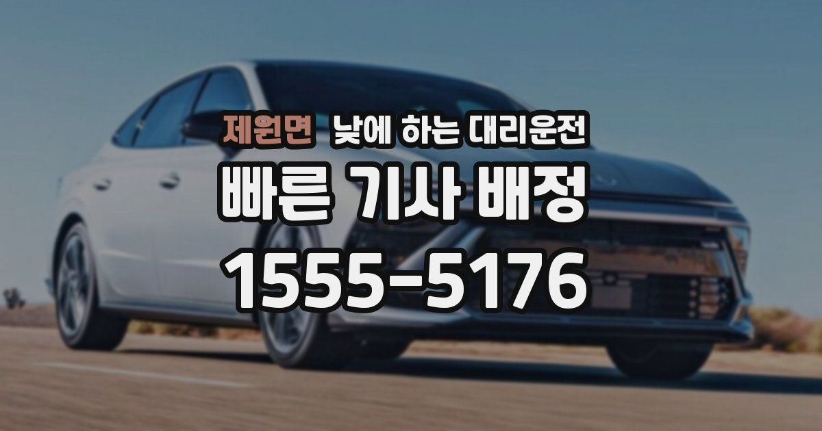 제원면 낮에 하는 대리운전