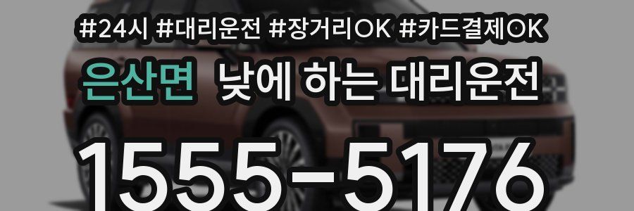 은산면 낮에 하는 대리운전