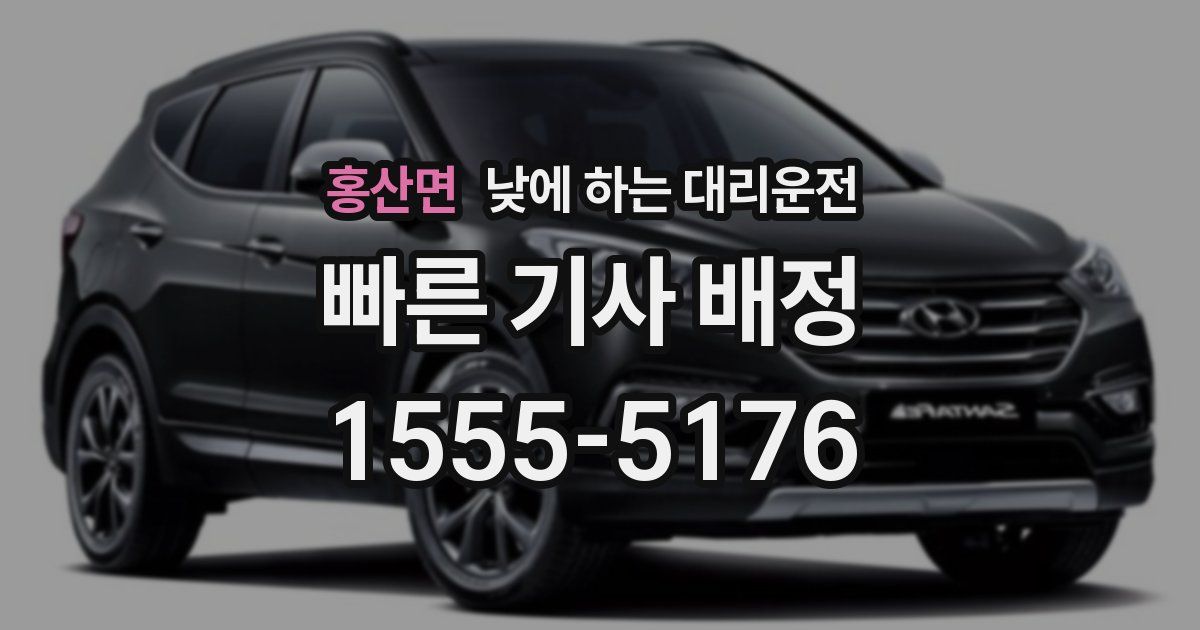홍산면 낮에 하는 대리운전