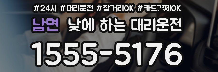 남면 낮에 하는 대리운전