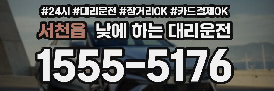 서천읍 낮에 하는 대리운전