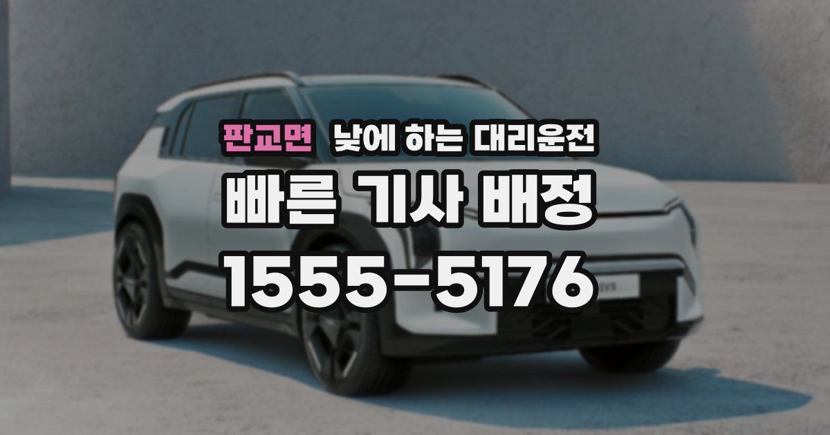 판교면 낮에 하는 대리운전