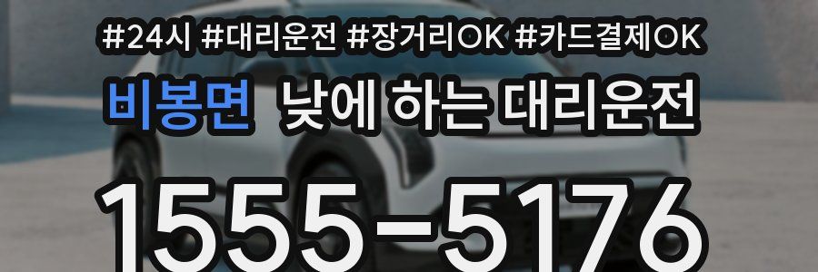 비봉면 낮에 하는 대리운전