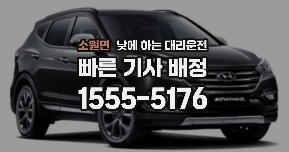 소원면 낮에 하는 대리운전