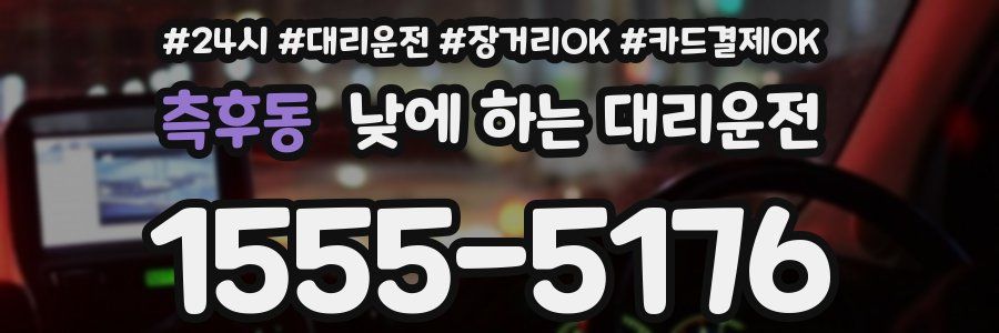 측후동 낮에 하는 대리운전