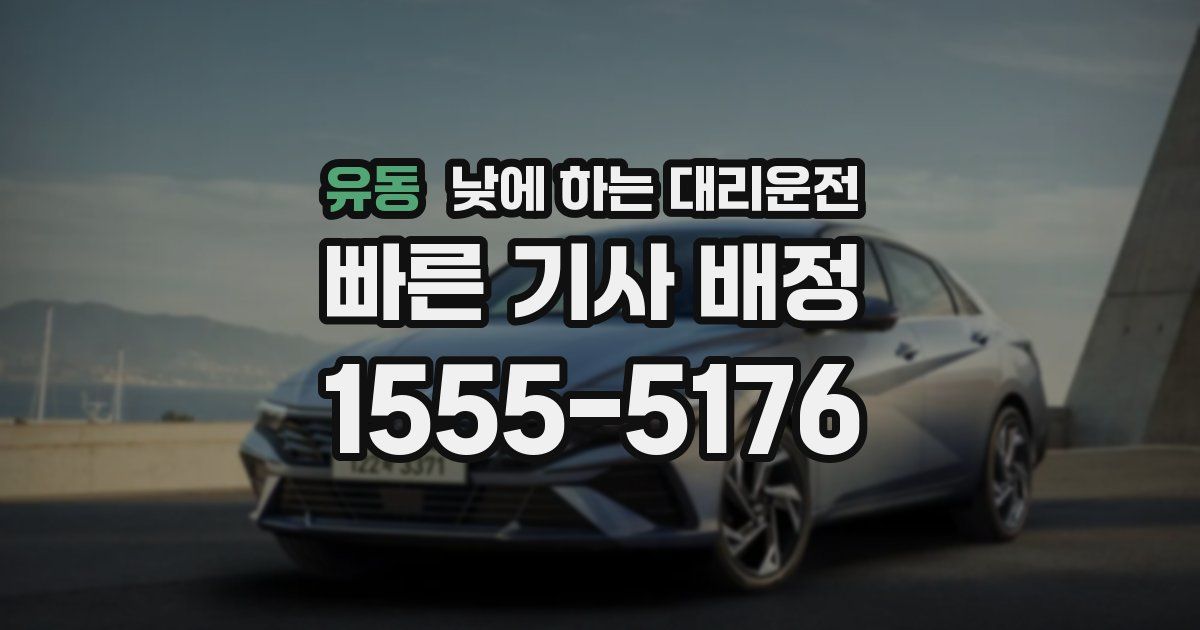 유동 낮에 하는 대리운전