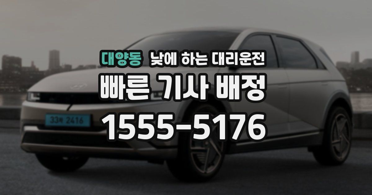 대양동 낮에 하는 대리운전