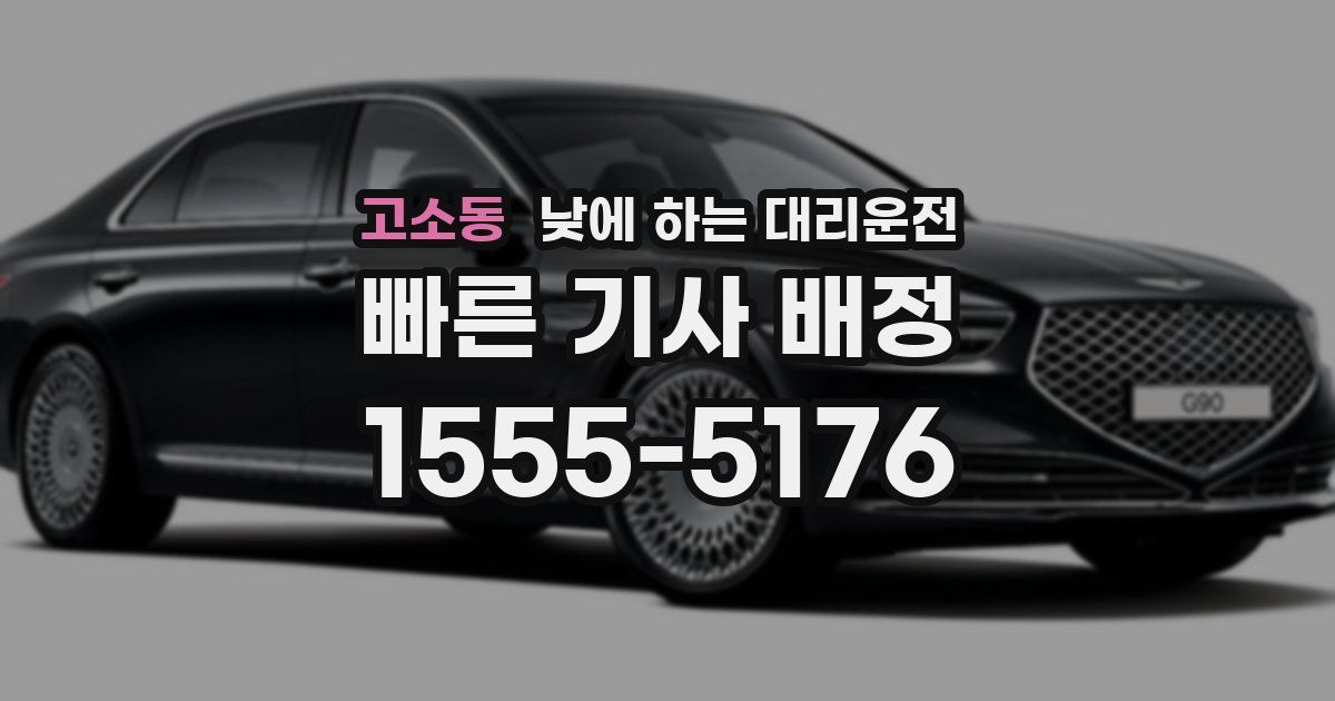 고소동 낮에 하는 대리운전