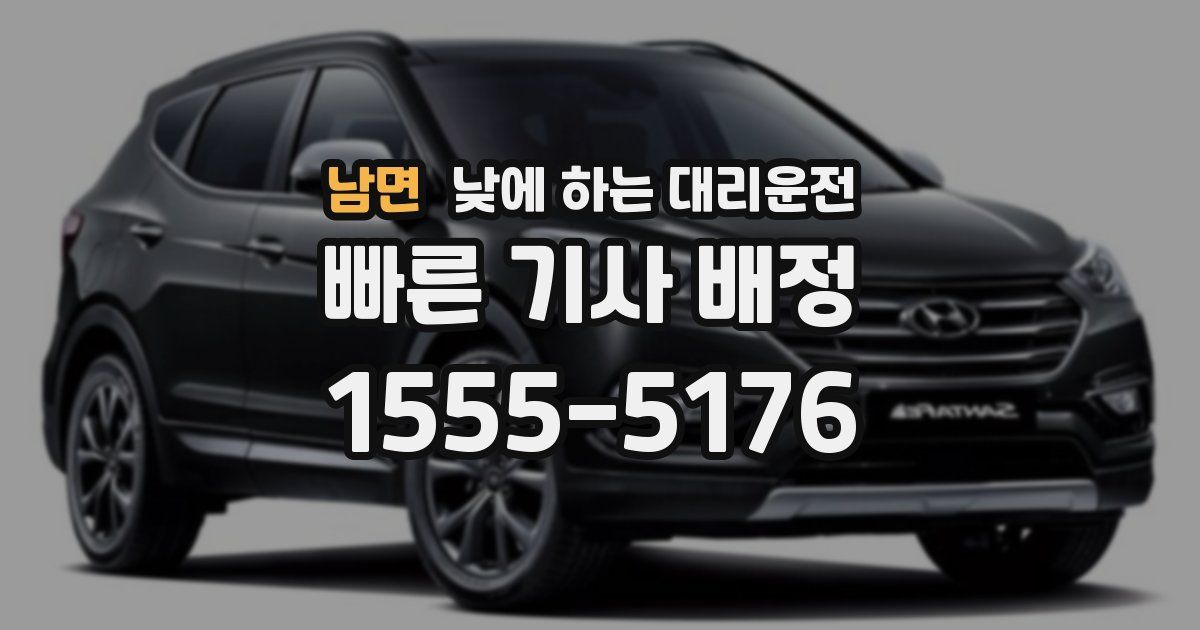 남면 낮에 하는 대리운전