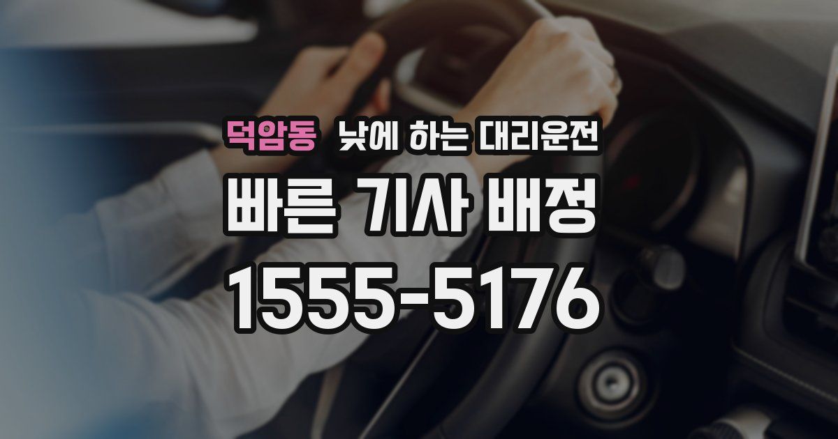 덕암동 낮에 하는 대리운전