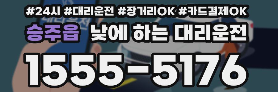 승주읍 낮에 하는 대리운전