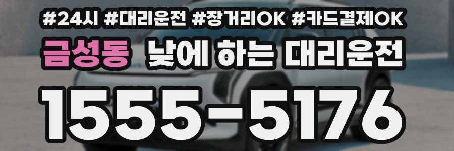 금성동 낮에 하는 대리운전