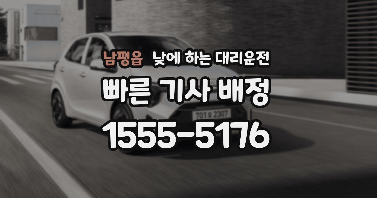 남평읍 낮에 하는 대리운전
