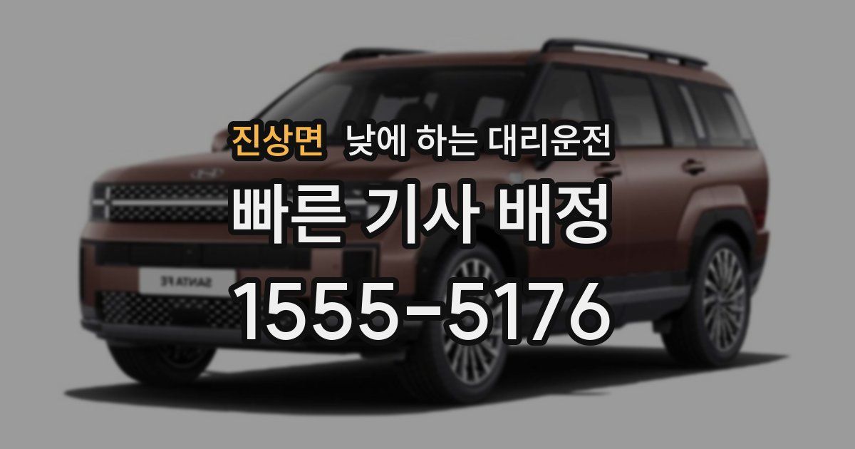 진상면 낮에 하는 대리운전