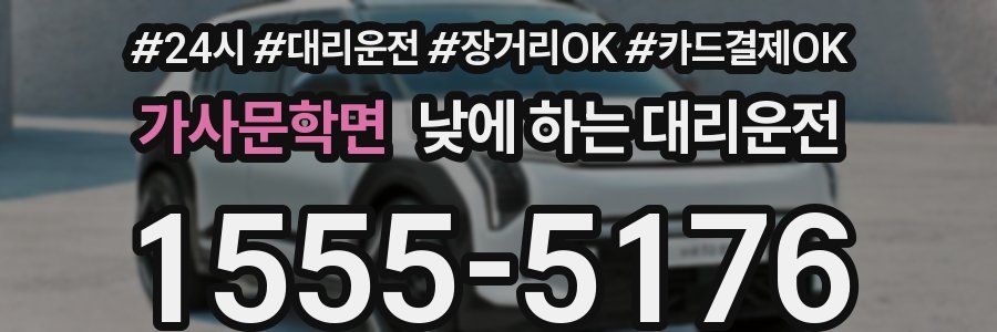 가사문학면 낮에 하는 대리운전