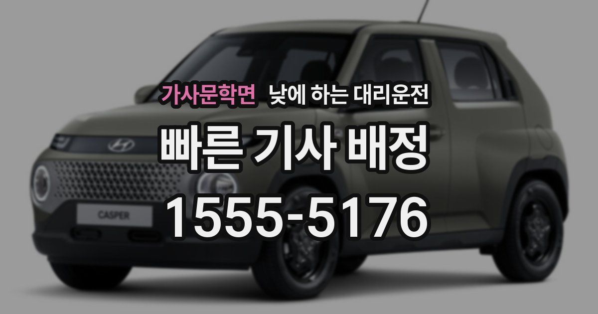 가사문학면 낮에 하는 대리운전
