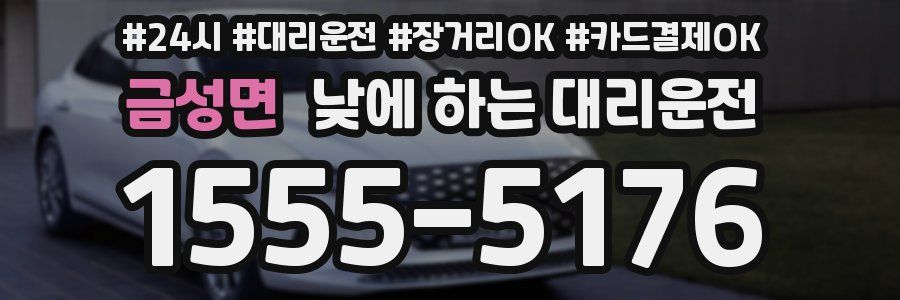 금성면 낮에 하는 대리운전