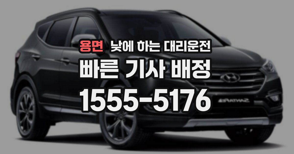 용면 낮에 하는 대리운전