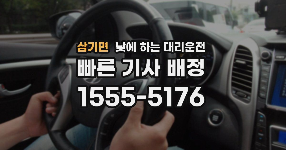 삼기면 낮에 하는 대리운전