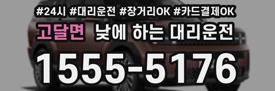 고달면 낮에 하는 대리운전