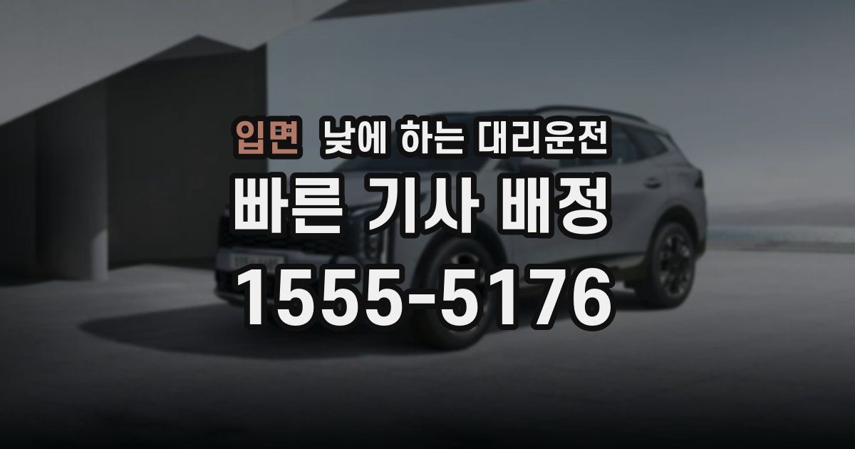 입면 낮에 하는 대리운전