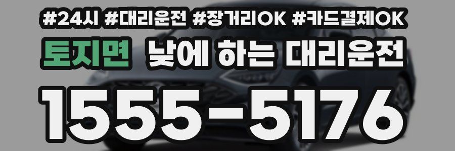 토지면 낮에 하는 대리운전