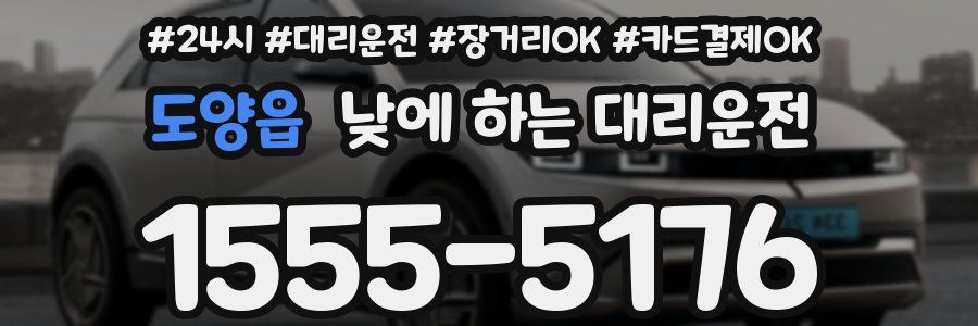 도양읍 낮에 하는 대리운전