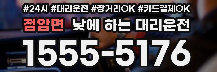 점암면 낮에 하는 대리운전