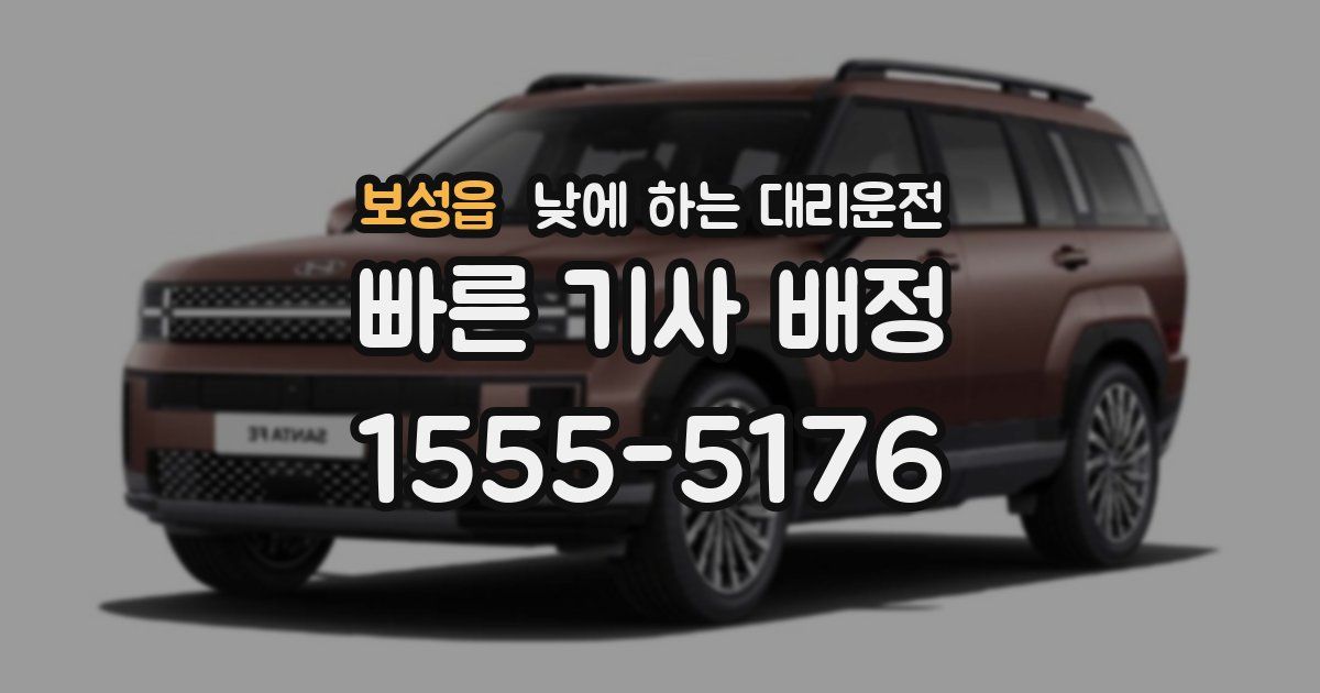 보성읍 낮에 하는 대리운전