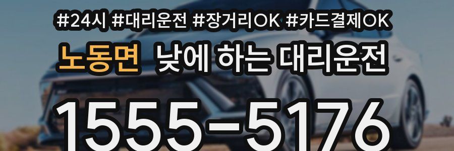 노동면 낮에 하는 대리운전