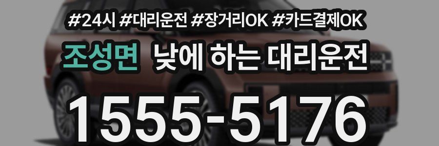 조성면 낮에 하는 대리운전