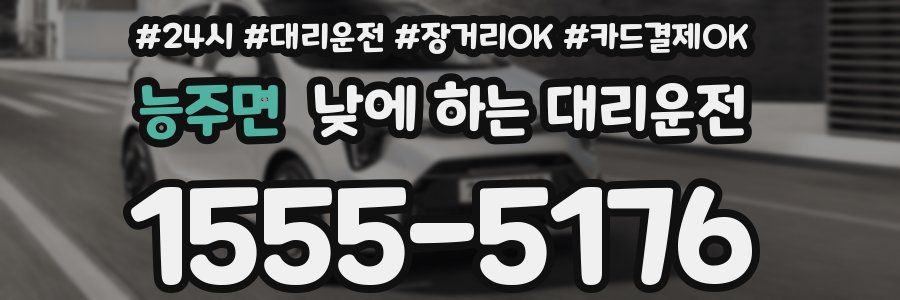 능주면 낮에 하는 대리운전