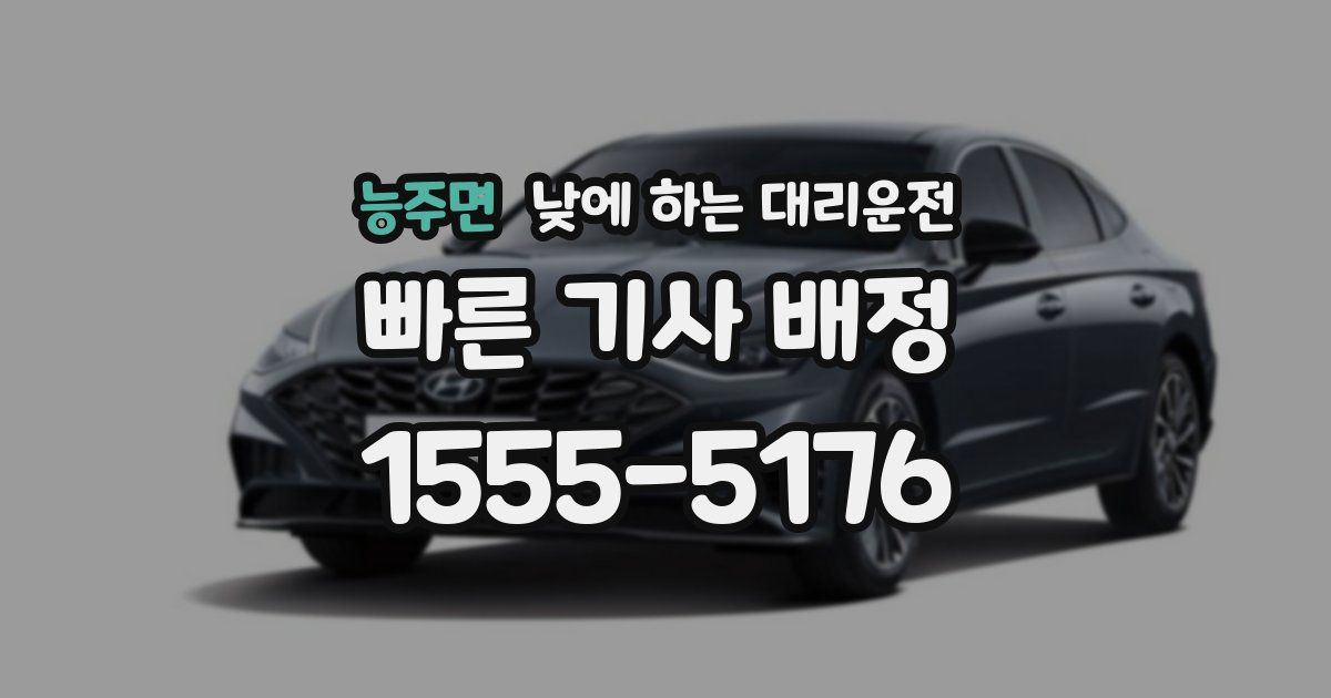 능주면 낮에 하는 대리운전