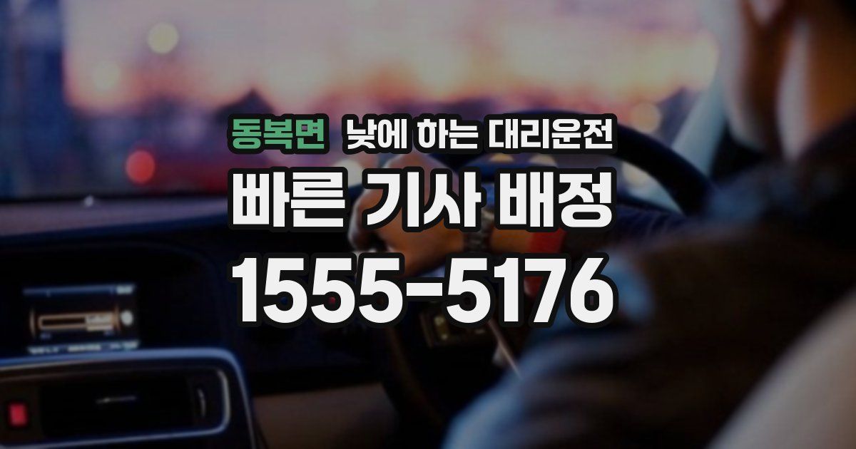 동복면 낮에 하는 대리운전