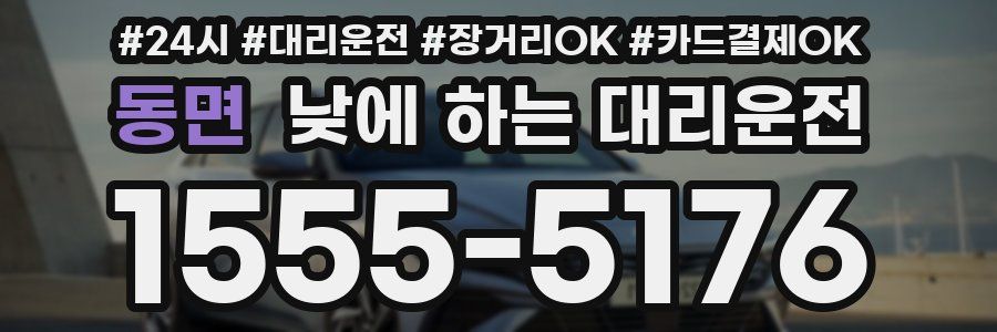 동면 낮에 하는 대리운전