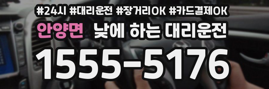 안양면 낮에 하는 대리운전