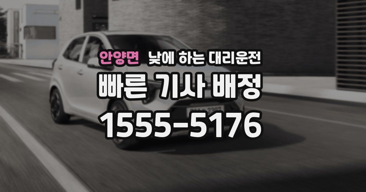 안양면 낮에 하는 대리운전