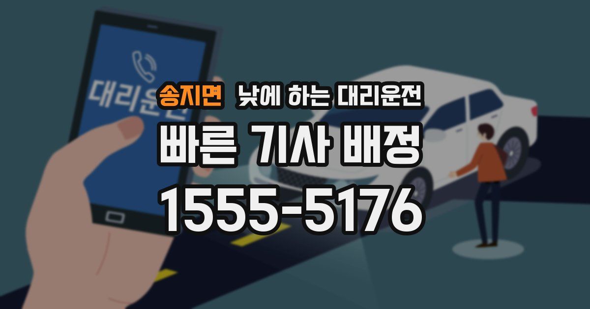 송지면 낮에 하는 대리운전