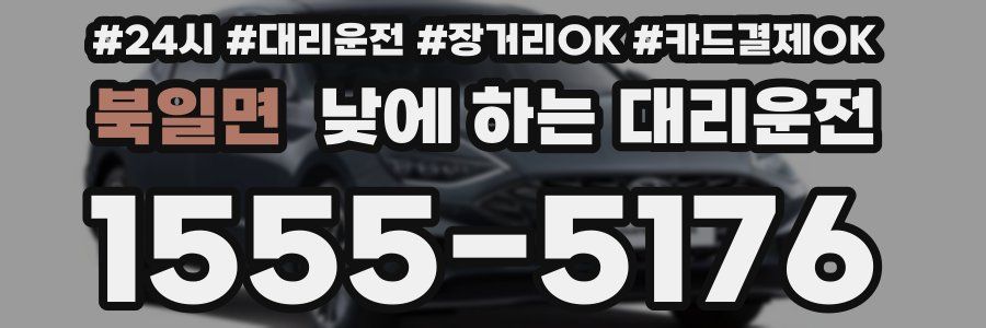 북일면 낮에 하는 대리운전