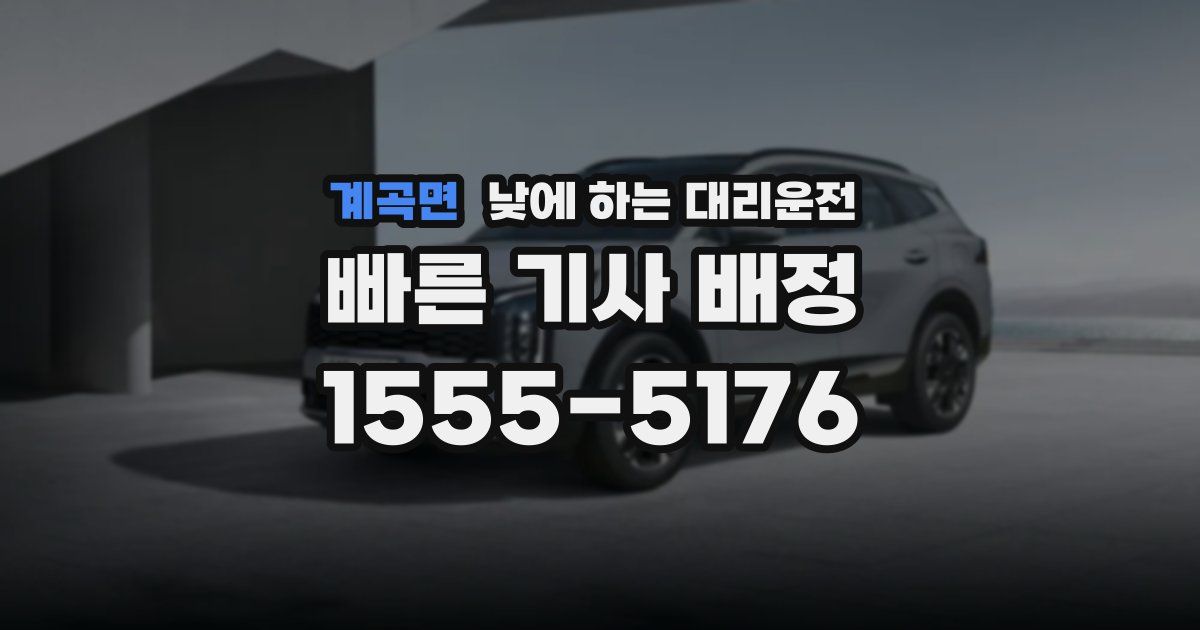 계곡면 낮에 하는 대리운전